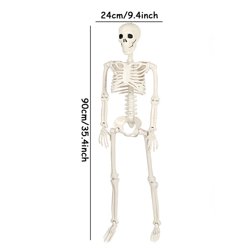 Spooktacular Halloween Movable Skeleton - Perfect Fake Human Skull Bones for Frightening Home Bar Decor and Haunting Party Props!