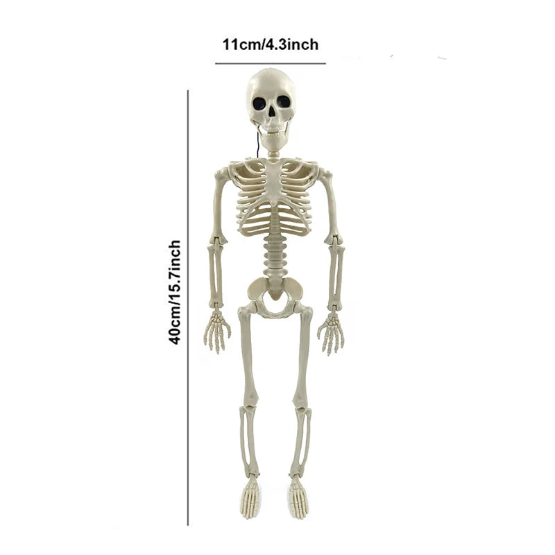 Spooktacular Halloween Movable Skeleton - Perfect Fake Human Skull Bones for Frightening Home Bar Decor and Haunting Party Props!